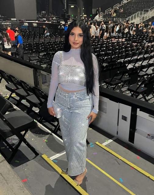 girl wearing a metallic crop top over a lilac long-sleeve sheer top paired with high-waisted, light-washed jeans